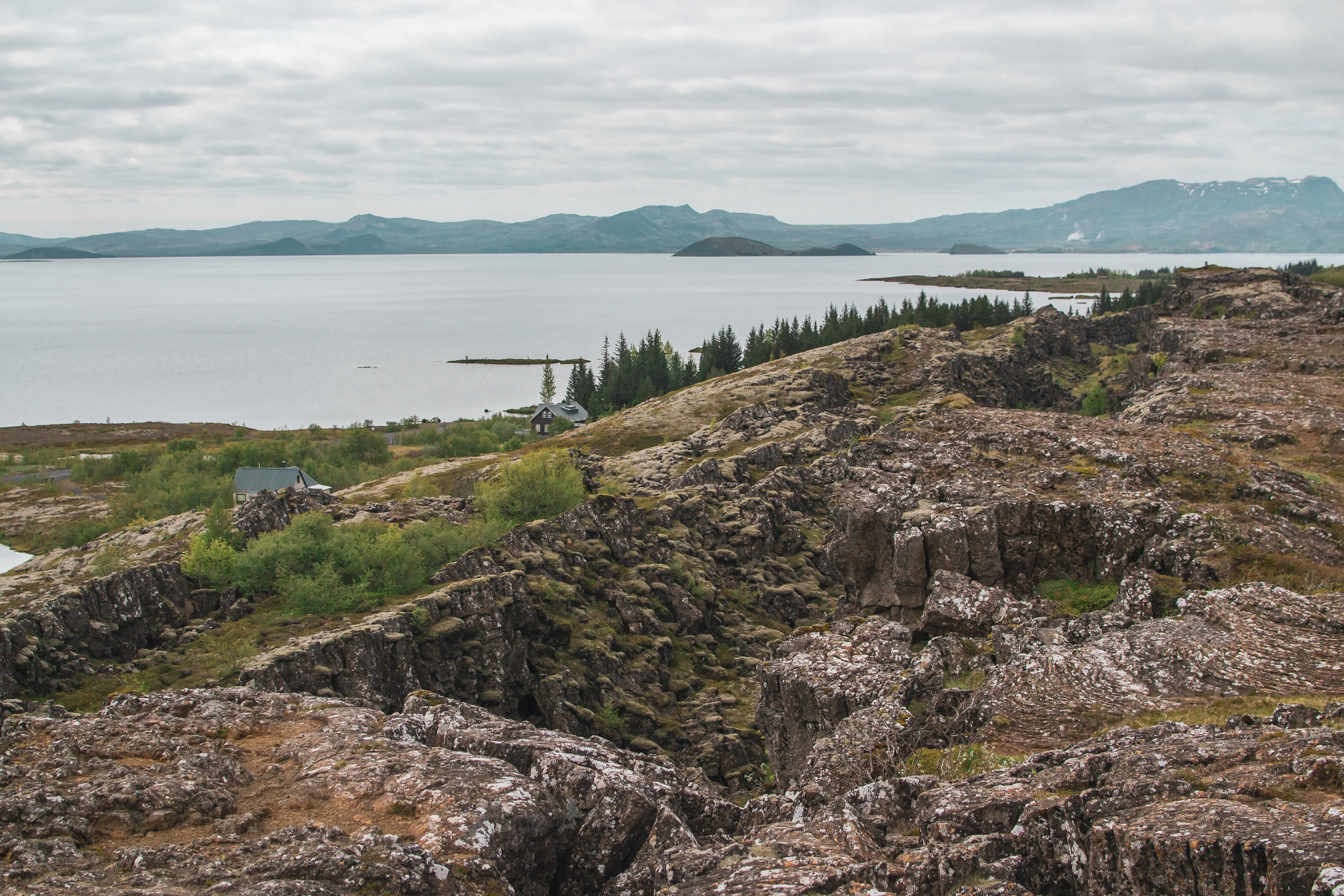 A view of Iceland’s coast from a hilltop.